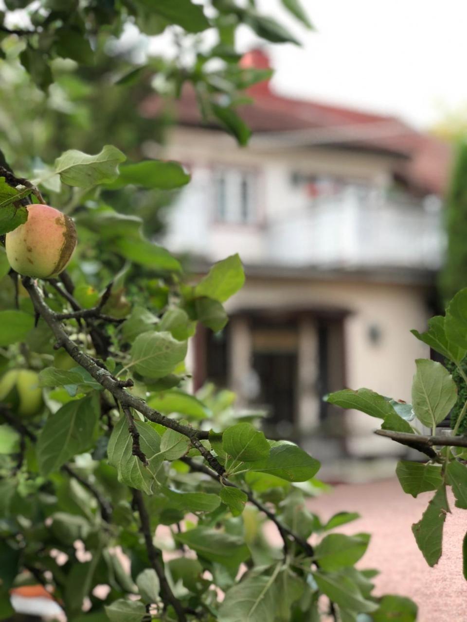 Hotel Palo Naantali Εξωτερικό φωτογραφία